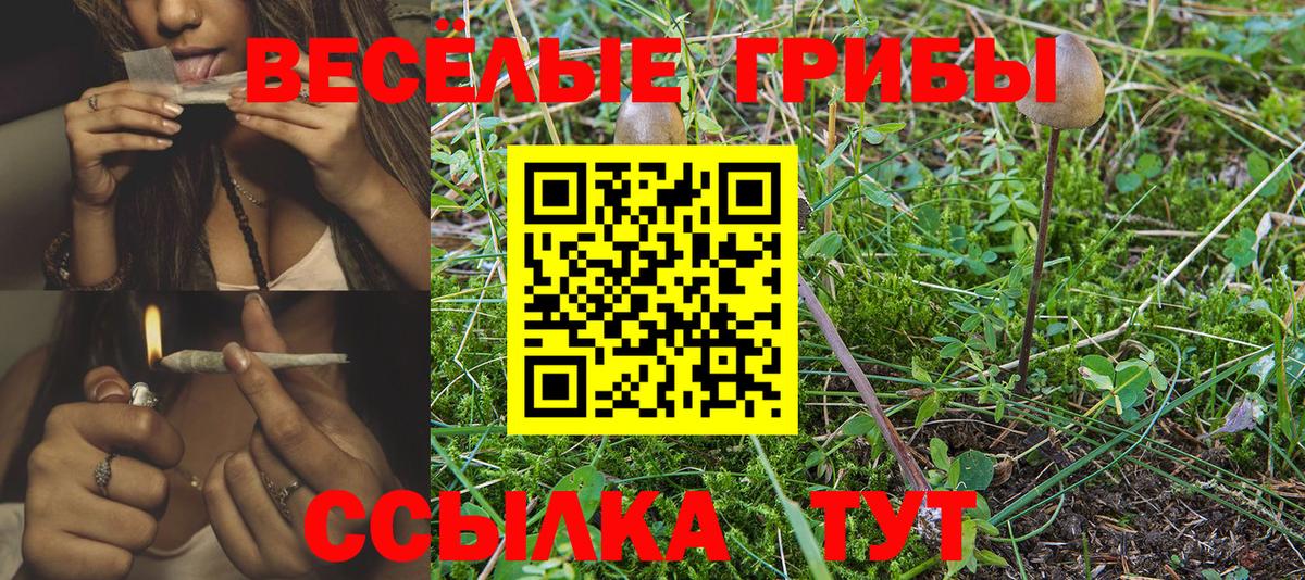 Знаменск  Галлюциногенные грибы Magic Shrooms  Вход с VPN 
